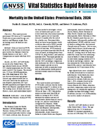 Mortality in the United States Provisional Data 2024