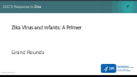 Zika Virus and Infants A Primer January 2017