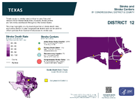 TX Congressional District 12 Stroke and Stroke Centers Map 118th Congress