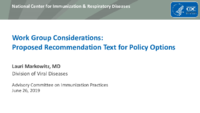 Work Group Considerations  Proposed Recommendation Text for Policy Options