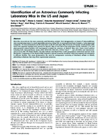 Identification of an Astrovirus Commonly Infecting Laboratory Mice in the US and Japan