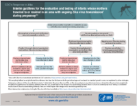 Interim Guidlines for the Evaluation and Testing of Infants Whose Mothers Traveled to or Resided in an Area with Ongoing Zika Virus Transmission During Pregnancy March 17 2016