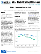 Births Provisional Data for 2024