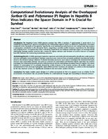 Computational Evolutionary Analysis of the Overlapped Surface S and Polymerase P Region in Hepatitis B Virus Indicates the Spacer Domain in P Is Crucial for Survival