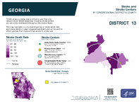 GA Congressional District 13 Stroke and Stroke Centers Map 118th Congress