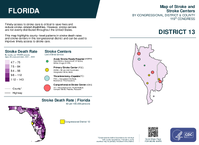 FL Congressional District 13 Stroke and Stroke Centers Map 119th Congress