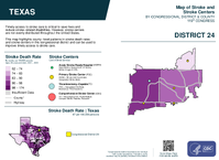 TX Congressional District 24 Stroke and Stroke Centers Map 119th Congress