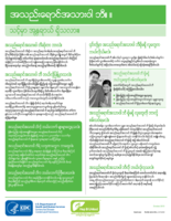 Hepatitis B Are You at Risk Burmese