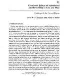 Neurotoxic Effects of Substituted Amphetamines in Rats and Mice