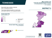 TN Congressional District 03 Stroke and Federally Qualified Health Centers Map 119th Congress
