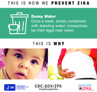 This is how we prevent Zika  dump water