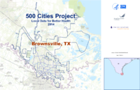 500 Cities Project Local Data for Better Health 2014 Brownsville TX