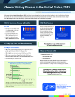 Chronic Kidney Disease in the United States 2023