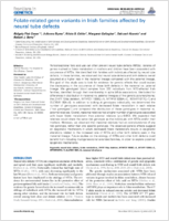 Folaterelated gene variants in Irish families affected by neural tube defects