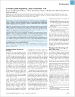 Evaluating and Regulating Lead in Synthetic Turf