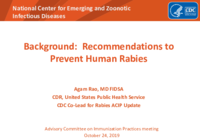 Background recommendations to prevent human rabies