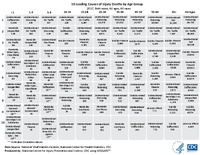 10 Leading Causes of Injury Deaths by Age Group  2017 Both sexes All ages All races