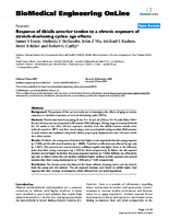 Response of tibialis anterior tendon to a chronic exposure of stretchshortening cycles age effects