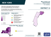 NY Congressional District 13 Stroke and Stroke Centers Map 119th Congress