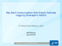 Key Adult Immunization Activities to Address Lagging Coverage in Adults