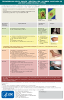 Cronograma de los signos y sntomas de la Fiebre manchada de las Montaas Rocosas FMMR