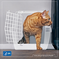 Prepare Your Health Personal Health Preparedness Personal Health Cat Carrier