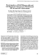 Participation of MAP Kinase p38 and IkB Kinase in Chromium VIInduced NFkB and AP1 Activation