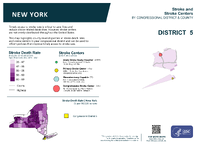 NY Congressional District 05 Stroke and Stroke Centers Map 118th Congress