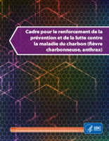 Cadre pour le renforcement de la prvention et de la lutte contre la maladie du charbon fivre charbonneuse anthrax