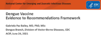 Dengue vaccine evidence to recommendations framework