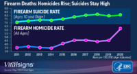 Firearm Deaths  Homicides Rise  Suicides Stay High