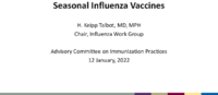 Seasonal influenza vaccines