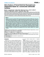 MetaAnalysis of PulsedField Gel Electrophoresis Fingerprints Based on a Constructed Salmonella Database