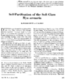 Selfpurification of the soft clam Mya arenaria
