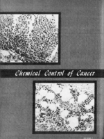 Public Health Reports  volume 69 numbers 112 JanuaryDecember 1954 including Public Health Monographs 1954 titles numbers 1824  index