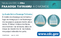 FAAAOGA TAINAMU A O MOMOE