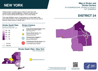 NY Congressional District 24 Stroke and Stroke Centers Map 119th Congress