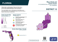 FL Congressional District 15 Stroke and Stroke Centers Map 119th Congress