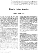 Rats in urban America