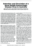 Detection and Circulation of a Novel Rabbit Hemorrhagic Disease Virus in Australia