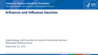 Influenza and influenza vaccines