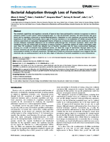Bacterial Adaptation through Loss of Function