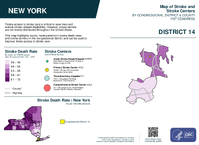 NY Congressional District 14 Stroke and Stroke Centers Map 119th Congress