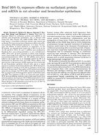 Brief 95 O2 Exposure Effects on Surfactant Protein and mRNA in Rat Alveolar and Bronchiolar Epithelium