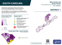 SC Congressional District 01 Stroke and Stroke Centers Map 119th Congress