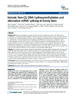 Intronic NonCG DNA hydroxymethylation and alternative mRNA splicing in honey bees