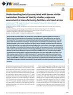 Understanding Toxicity Associated with Boron Nitride Nanotubes Review of Toxicity Studies Exposure Assessment at Manufacturing Facilities and ReadAcross