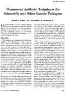 Fluorescent antibody techniques for Salmonella and other enteric pathogens