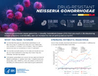 CDCs 2019 Antibiotic Resistance Threats Report Drugresistant Neisseria gonorrhoeae N gonorrhoeae