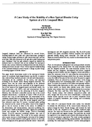 A Case Study of the Stability of a NonTypical Bleeder Entry System at a US Longwall Mine 2019